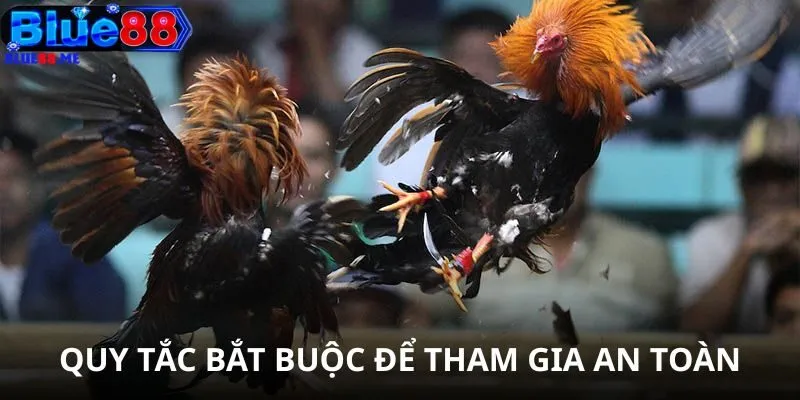 Quy tắc bắt buộc tuân theo để tham gia an toàn